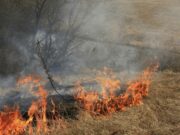 Odsjek civilne zaštite Grada Prijedora: Izbjeći nekontrolisano paljenje korova