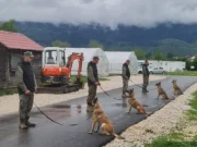 Norveška Bosni donirala deminerske pse