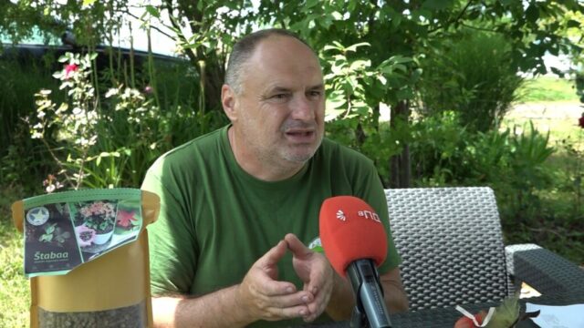 mujkanovic