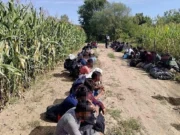 Granična policija BiH pronašla 61 migranta kod Dubice: Dolaze iz Bangladeša, Indije, Pakistana…