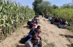 Granična policija BiH pronašla 61 migranta kod Dubice: Dolaze iz Bangladeša, Indije, Pakistana…