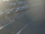 Duge kolone vozila na graničnim prijelazima