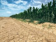 Rekordne temperature donijele sušu i požare širom Evrope