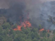 Požar zahvatio šumu u Gornjoj Dragotinji kod Prijedora