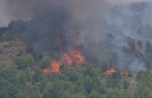 Požar zahvatio šumu u Gornjoj Dragotinji kod Prijedora