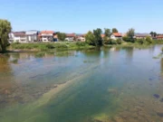 Sana pala na nivo koji nije zabilježen decenijama: Stručnjaci upozoravaju šta slijedi